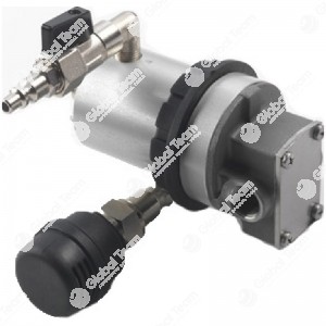 Pompa pneumatica rotativa ad ingranaggi per travasi olio-antigelo-gasolio-acqua - misure 800x560x180mm